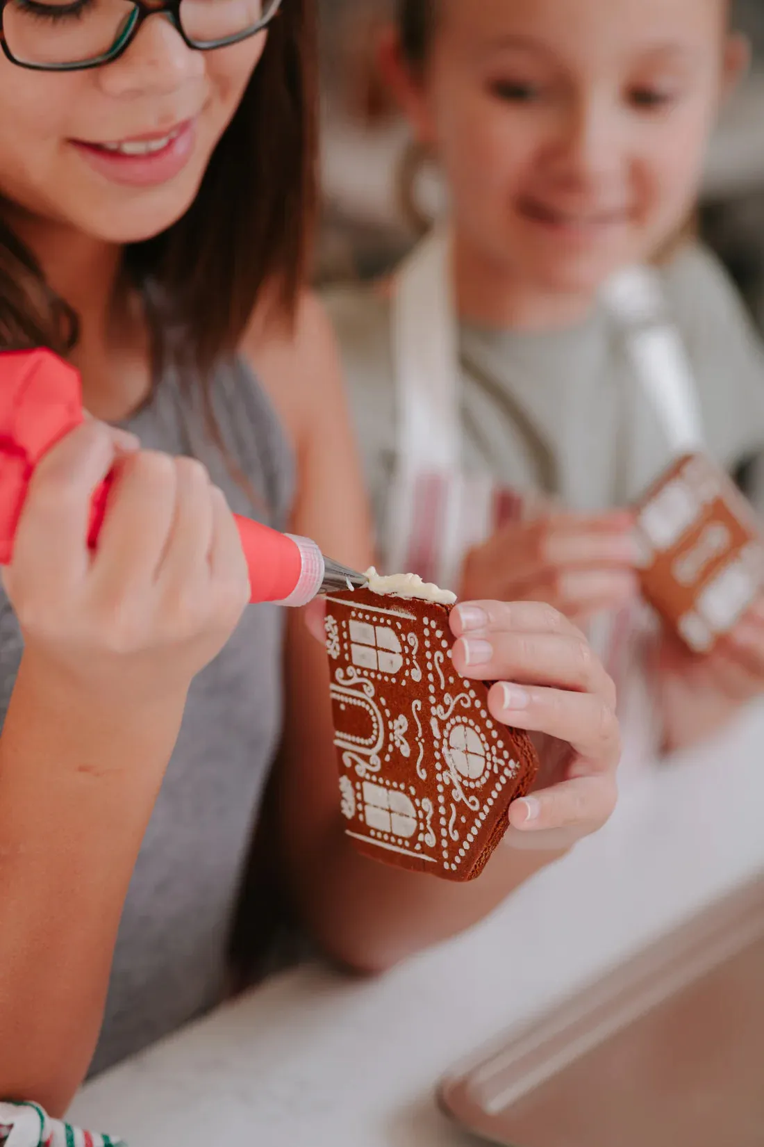 Make Your Own Gingerbread Village Kit